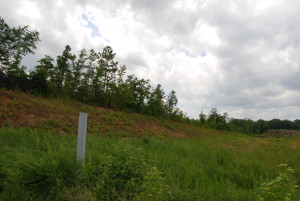 Epps Bridge Rd_C.5